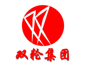 安徽双轮股份有限公司审计