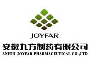 安徽古井集团九方制药有限责任公司审计